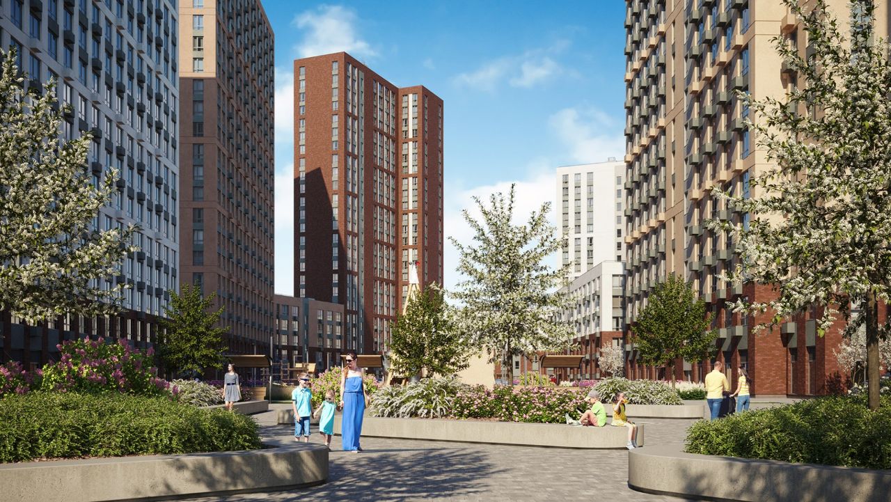 изображение ЖК Лучи