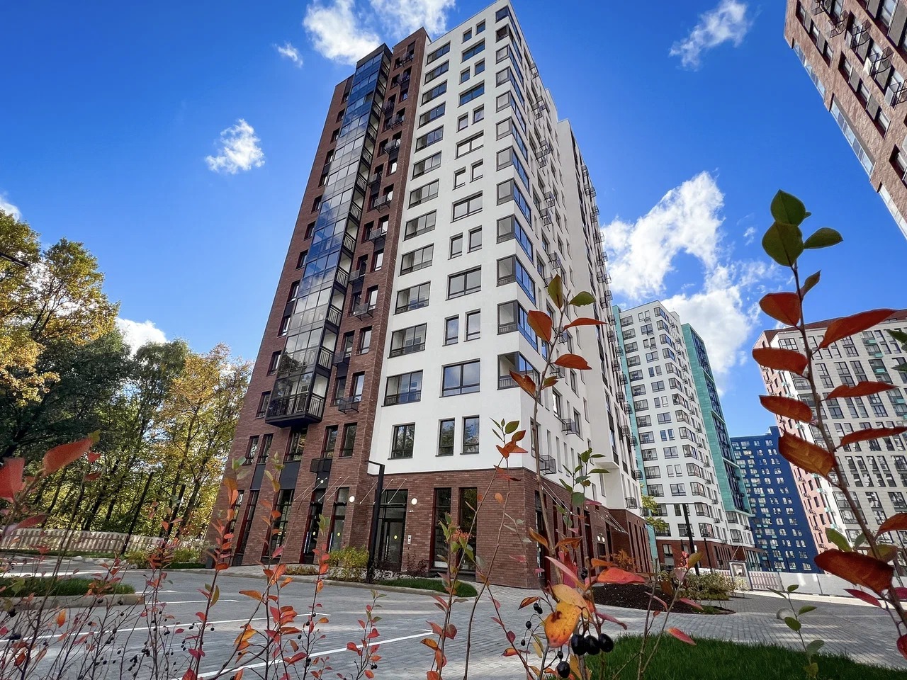 Описание картинки