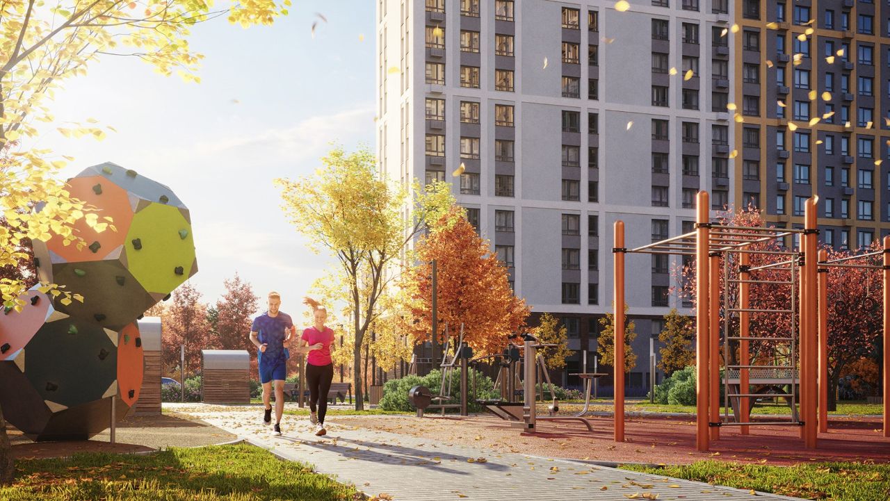 изображение ЖК Лучи