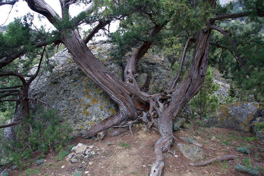 Урочище Шушмор